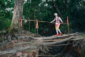 BIB: 
                            <button type="button" onclick="openModal(27316531)" class="btn btn-primary btn-sm float-right btn-popup" data-toggle="modal" data-target=".modal-high-quality">
                        <i class="fas fa-shopping-cart"></i> Add to Cart
                    </button>
                                            <button type="button" onclick="isThisMe(27316531, true)" class="btn btn-success btn-sm float-right btn-popup btn-isme hidden" data-toggle="tooltip" data-placement="bottom" title="นี่คือรูปของคุณใช่ไหม คลิกที่นี่เพื่อเอาเข้าอัลบั้ม">
                        <i class="fas fa-plus"></i> Add to album
                    </button>
                    <button type="button" onclick="isThisMe(27316531, false)" class="btn btn-warning btn-sm float-right btn-popup btn-isnotme hidden">
                        <i class="fas fa-ban"></i> Remove from album
                    </button>